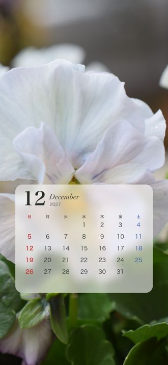 2027年12月 パンジーのカレンダー壁紙