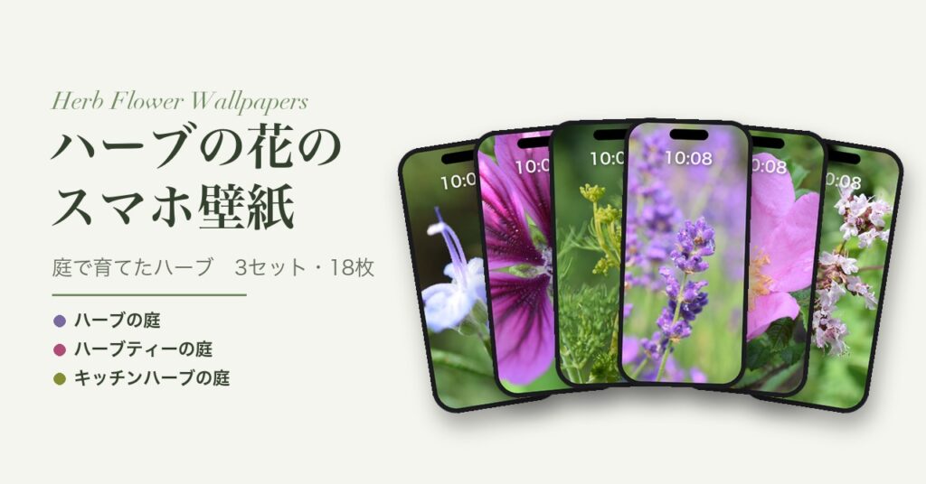 ハーブの花のスマホ壁紙（ハーブの庭・ハーブティーの庭・キッチンハーブの庭）