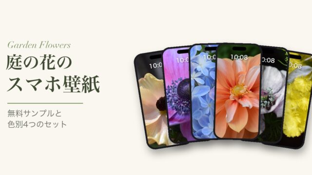 庭の花のスマホ壁紙（アイキャッチ）